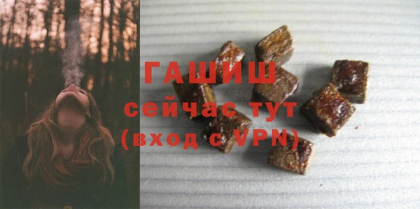 индика Володарск