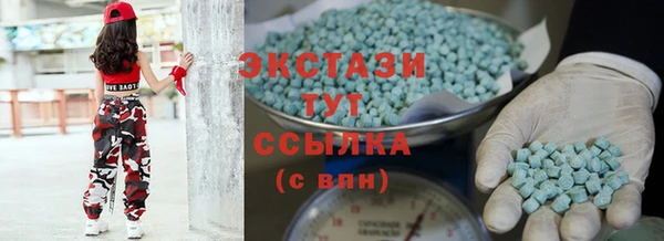 индика Володарск