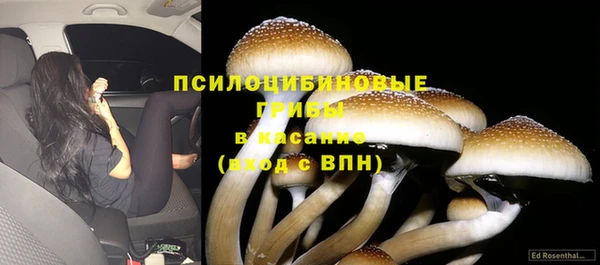 индика Володарск