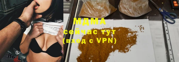индика Володарск