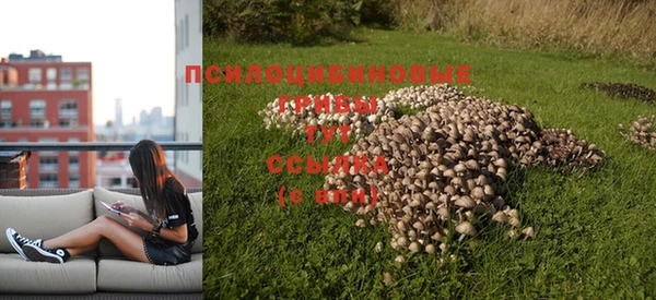 mdpv Волосово