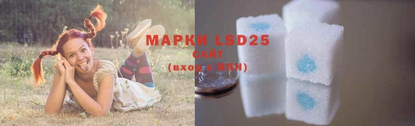 индика Володарск