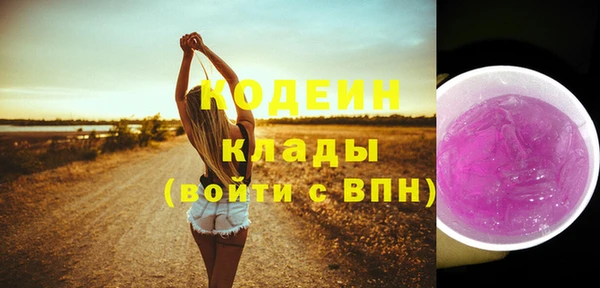 индика Володарск