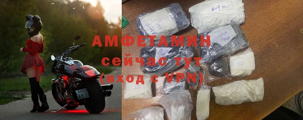 индика Володарск