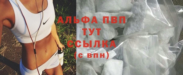 индика Володарск