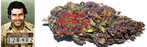 индика Володарск